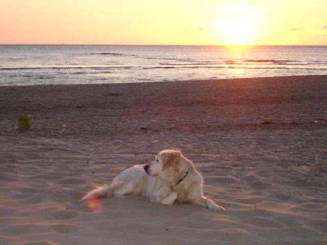 stimmungsvolle Sonnenuntergänge am Meer
