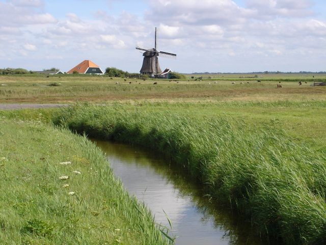 Polderlandschaft mit Kanälen und Fahrradwegen