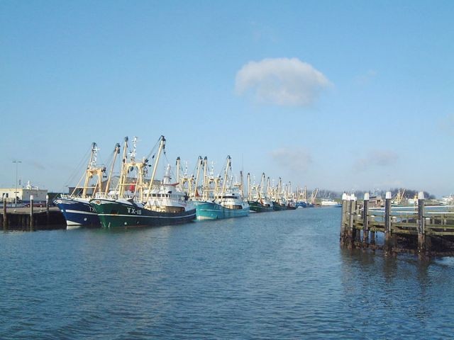 Hafen Oudeschild