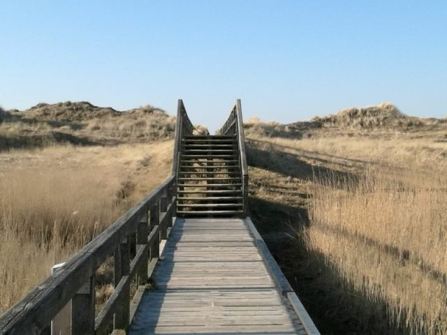 Dünenblick 