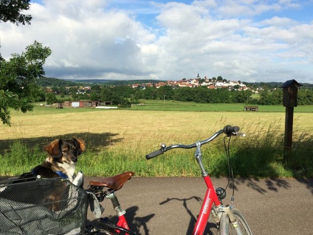 Ausflug mit Hund