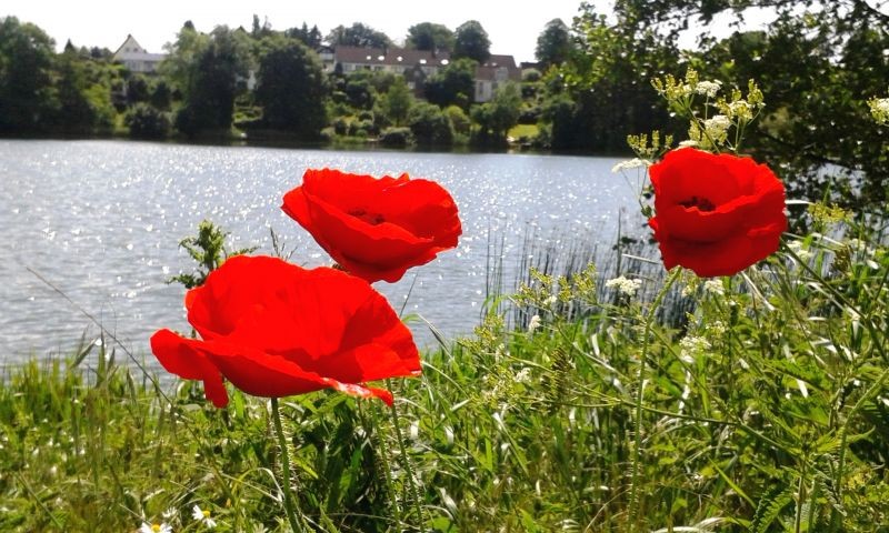 Und wieder im Sommer...Der idyllische kleine Taschensee.