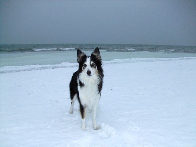 Alina an der ziemlich zugefrorenen Ostsee.