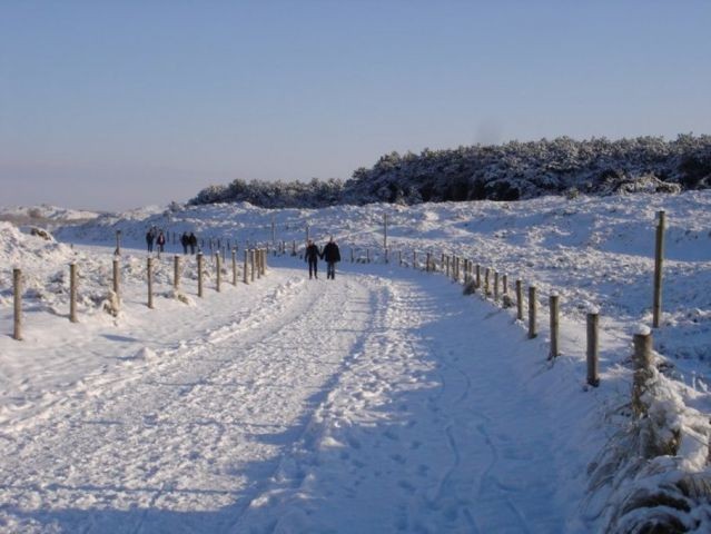 Winterwanderung auch in Holland