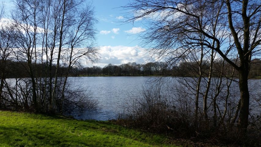 Hollener See