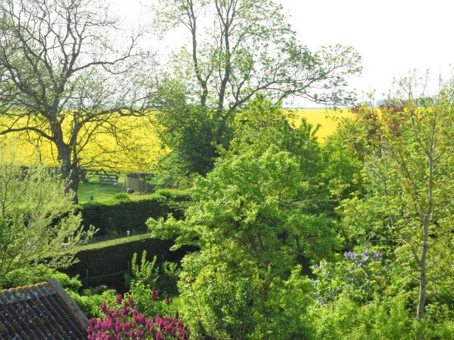 Ausblick vom Dachboden bis zur Orther Bucht
