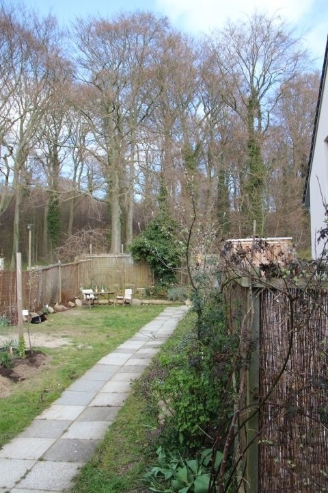 Foto vom Garten vom 9.4.19