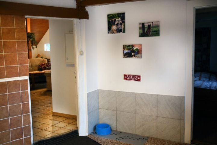 "Raubtier Fütterung" :-) 