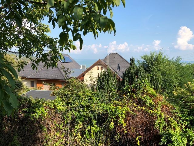 Ausblick von der Terrasse