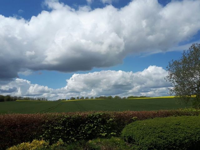 Ausblick von der Terrasse - einfach traumhaft 