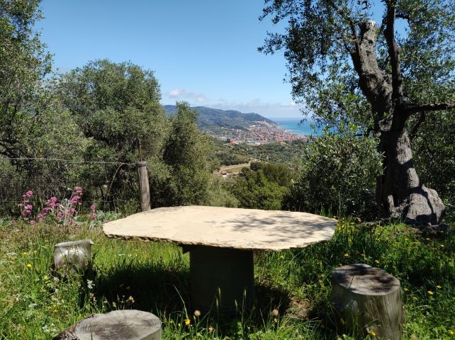 Per un bicchiere fra gli olivi verso il mare