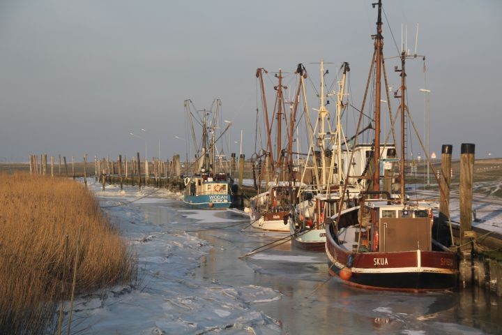 Kutterhafen