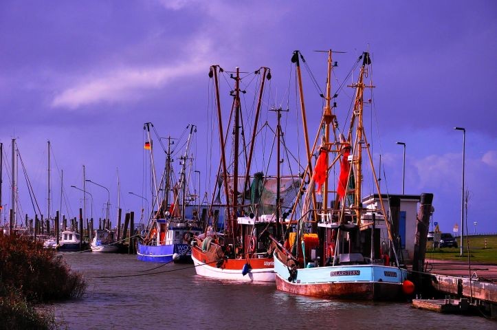 Kutterhafen