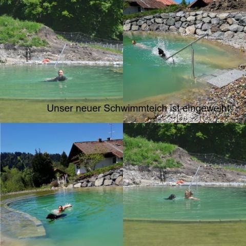 unser neuer Natur-Schwimmteich