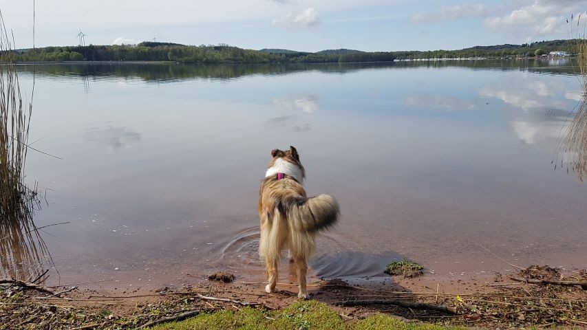 Bostalsee
