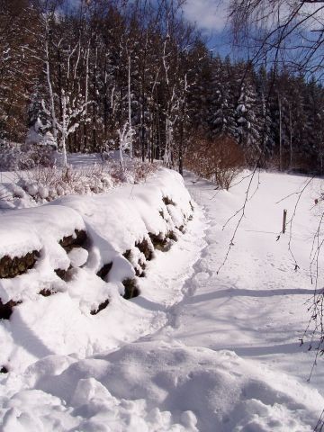 Garten im Winter