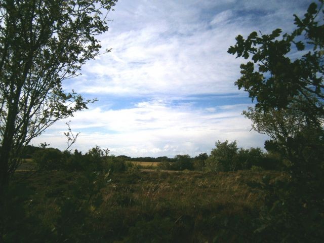 Heide bei Berensch
