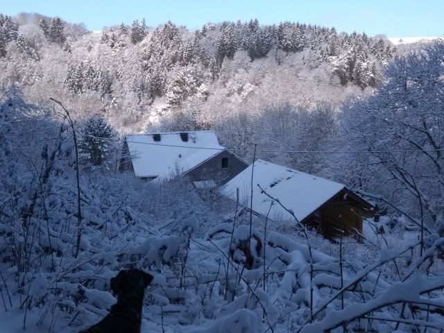 Winter in Altbettingen