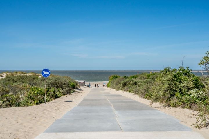 Renesse