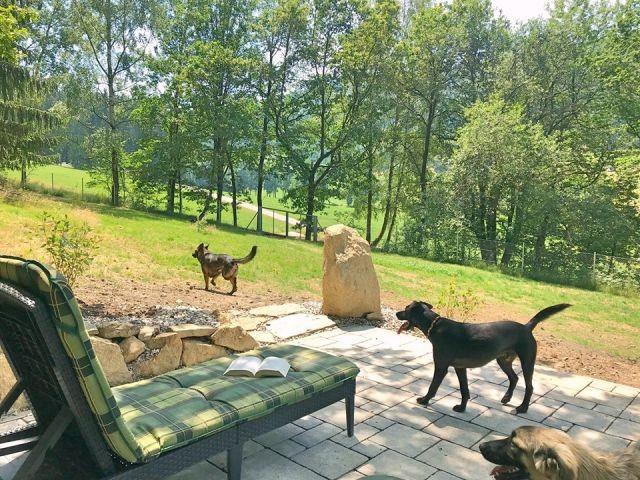 Urlaub Fur Und Mit Dem Hund Gemutlich Und Hochwertig Eingerichtet