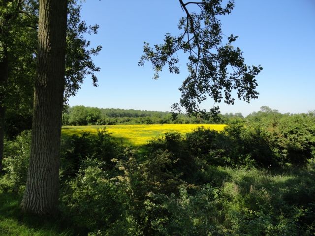 Umgebung Stelleplas