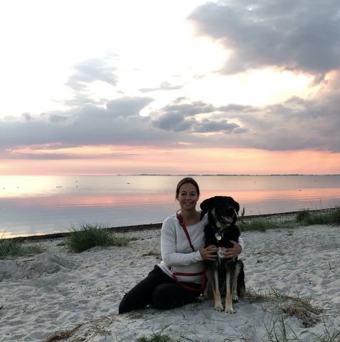 bei uns gibt es die schönsten Sonnenuntergänge