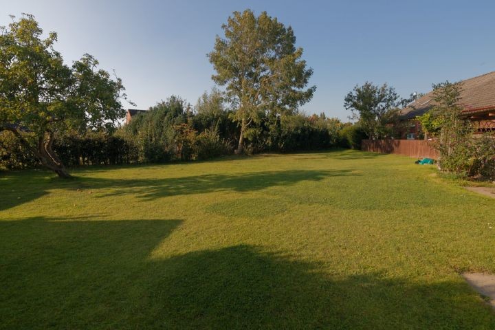 Blick in den Garten