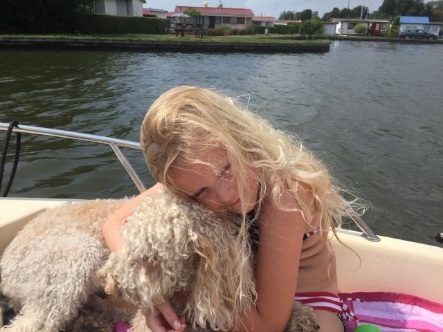 Hund darf mit aufs Boot