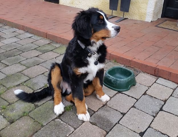 unsere Bonny