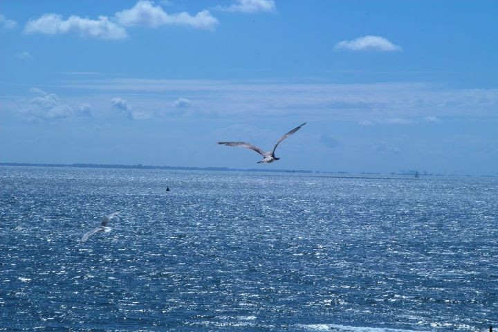 Meer