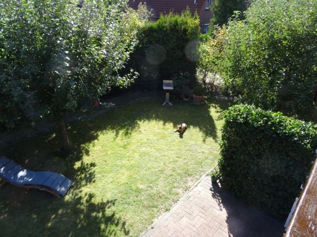 Blick in den Garten vom Balkon