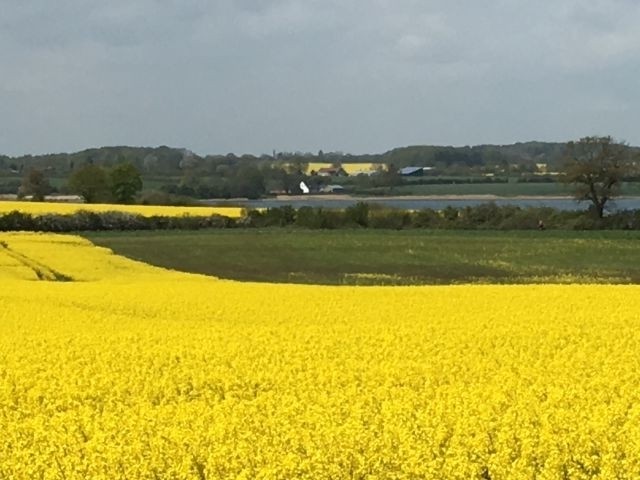 Landschaft pur