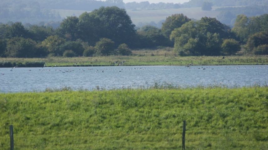 kleiner Binnensee - Naturschutzgebiet