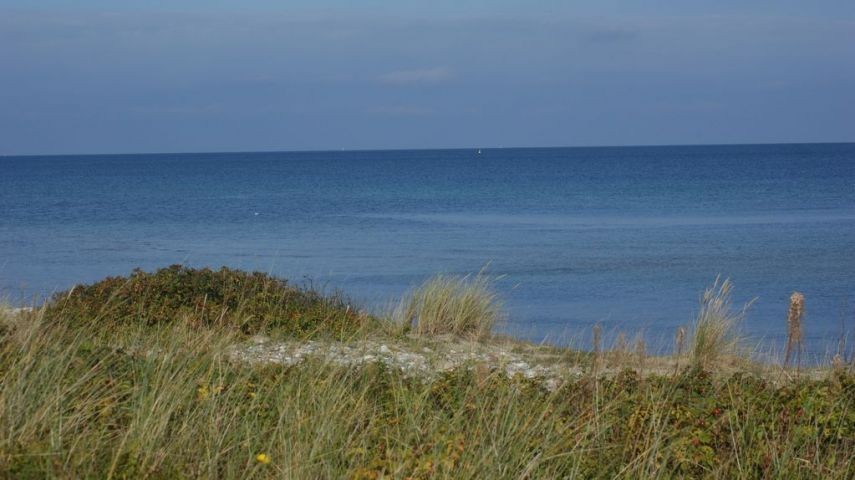 am Strand