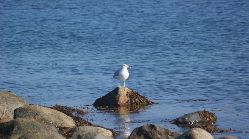 am Strand