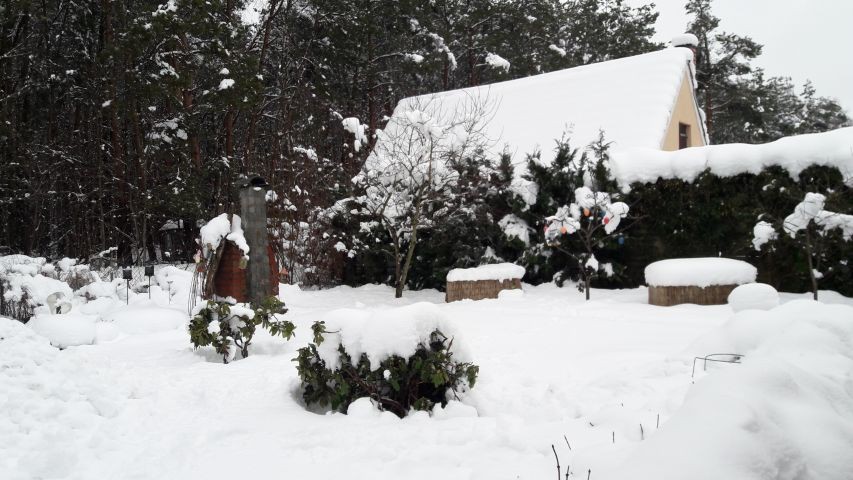 Winter in Biendorf