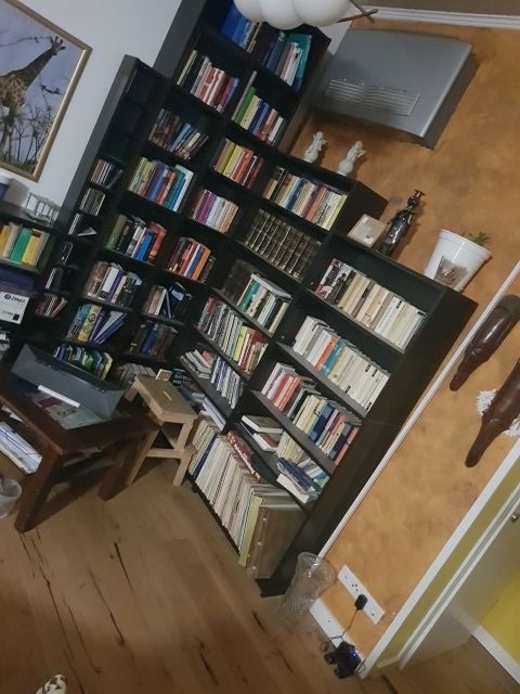 Kleine Bibliothek EG inkl. Plattensammlung