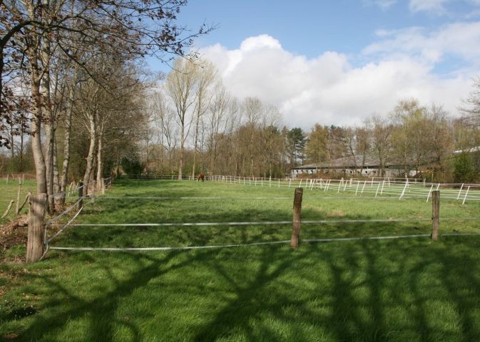 Eigene Weiden