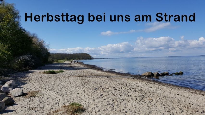 unser Naturstrand mit Hundestrand