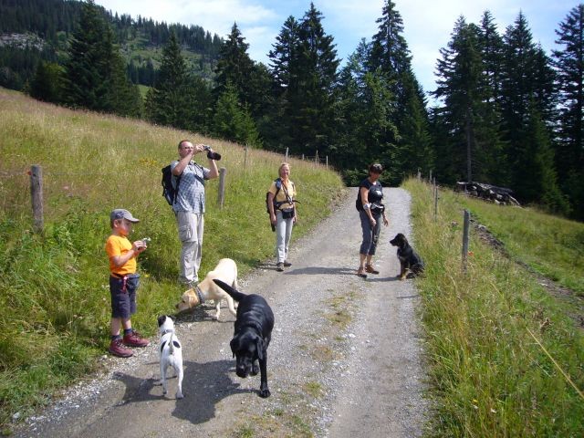 Gästewanderung im Kleinen Walsertal