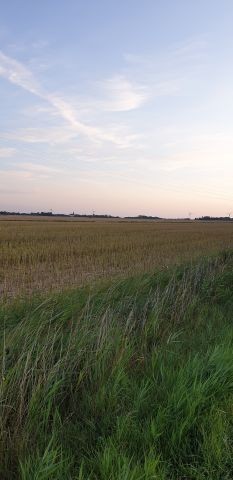 Die Umgebung
