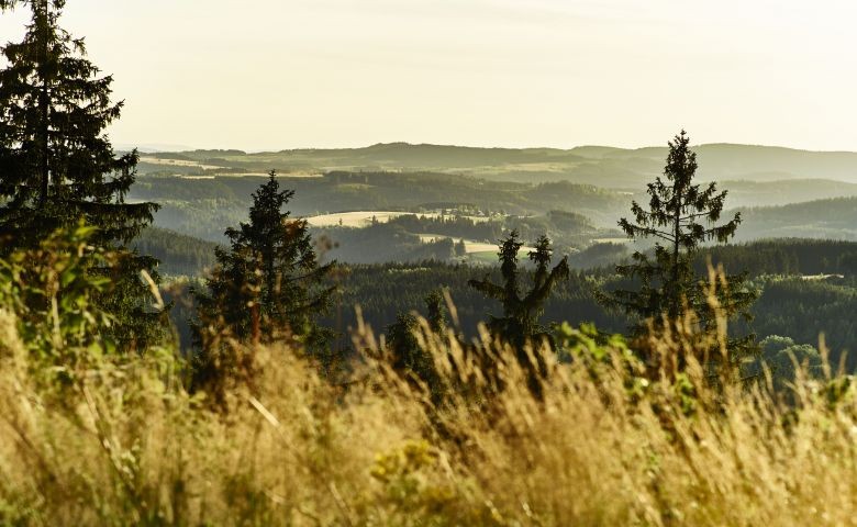 Landschaft Frankenwald