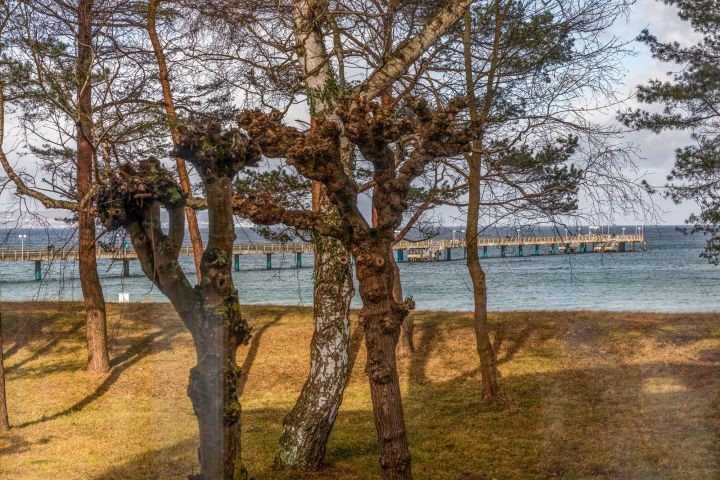 Meerblick Richtung Seebrücke und Kreidefelsen