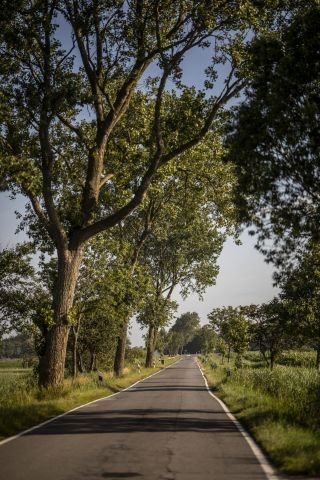 Vollerwiek