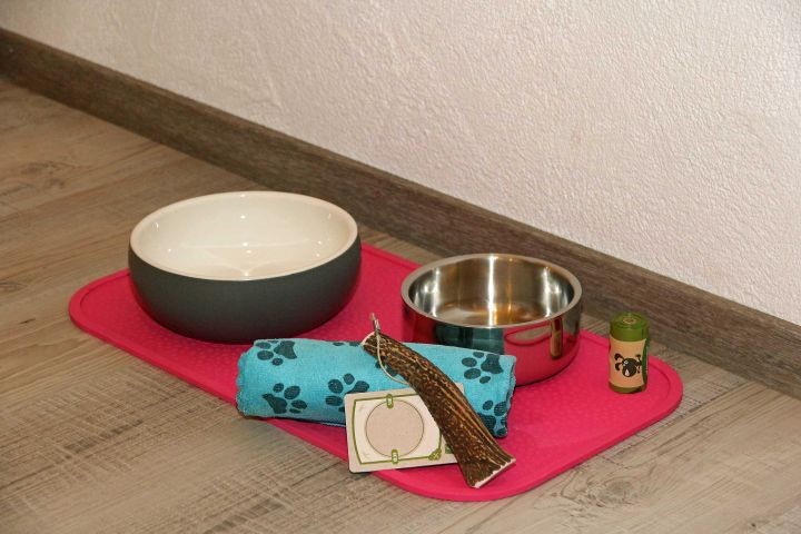 Hunde finden eine kleine Überraschung vor