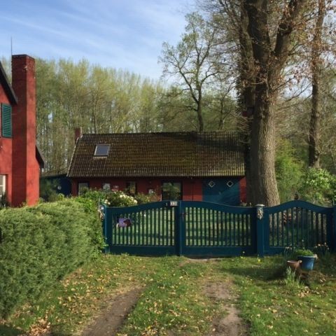 Auffahrt/Einfahrt (vorn) zum Ferienhaus