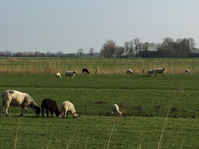 Nachbarn