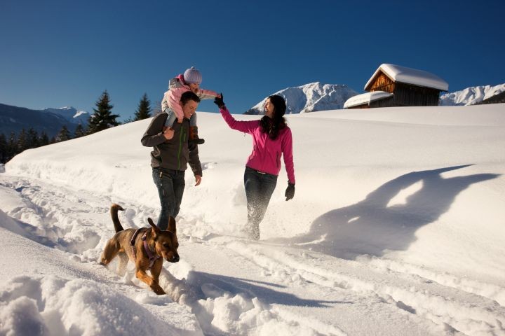 Winterwandern mit Hund - direkt vor der Haustüre 