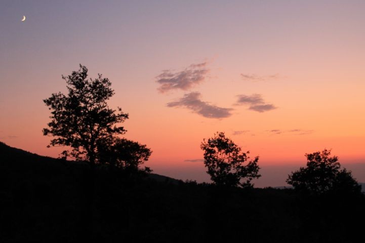 Abendstimmung