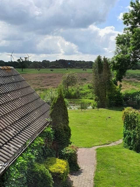 Ausblick aus dem Obergeschoss 
